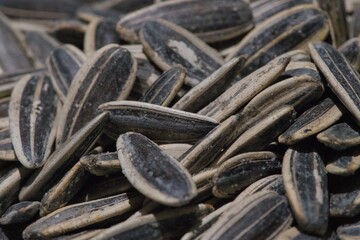 A CloseUp of Sunflower Seeds Beautifully Piled Together for Your Viewing Pleasure