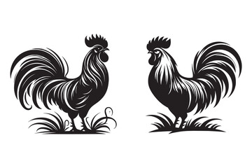 Rooster silhouette with white background