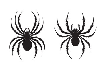 Spider silhouette with white background