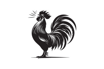 Rooster silhouette with white background 