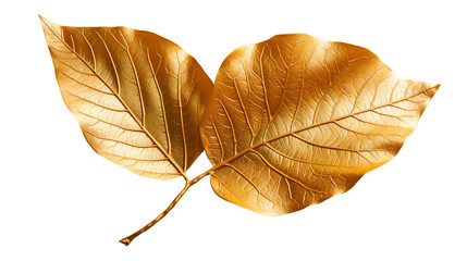 Golden Leaves Luxury Botanical Design, Elegant Metal Decor for Nature Themes, isolated on transparent background.