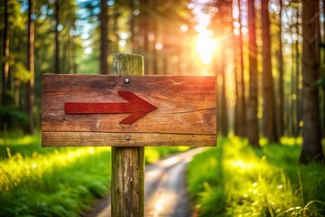 Fototapeta premium Rustic Wooden Arrow Signpost, Bokeh Background, Country Road, Direction Pointer, Red Arrow Sign