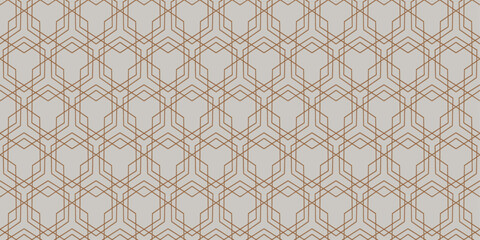 Intricate Hexagonal Wireframe with Geometric Symmetry
