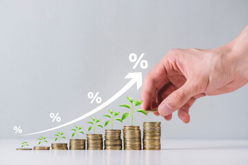 Trees growing on increasing coins stacking with percentage sign and graph for money deposit savings...