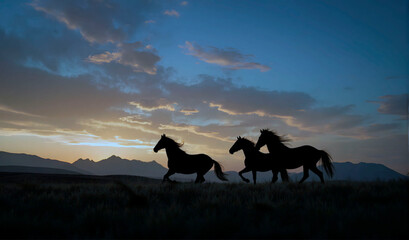 Silhouette of three running horses at sunset against a mountainous background