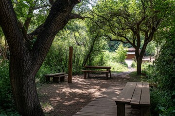 Peaceful Wooden Picnic Tables in a Shady Green Park