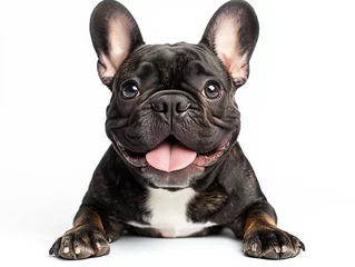  Cheerful, funny perky french bulldog on a white background. © silver bug