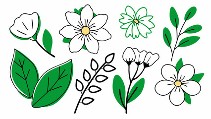 Obraz premium Flower and leaf vector set. Botanical illustrations for nature and spring-themed designs.