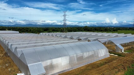 Greenhouse Farming Aerial View