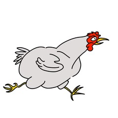 Chicken illustrations are simple and can be used for design and graphics