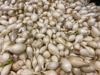 Small white onions are sold over the counter at the grocery store
