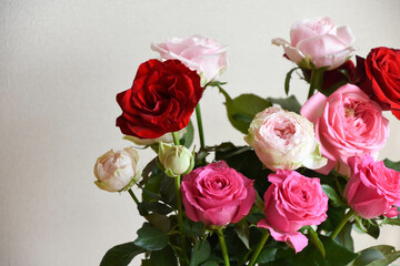 カラフルなばら