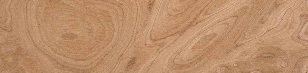 Walnut burl veneer surface with intricate swirls and rich earthy tones creating an artful display