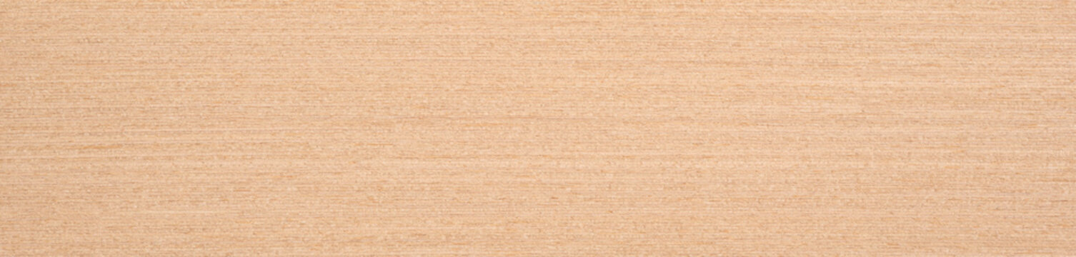 Subtle shades of beige and cream interweave across the smooth expanse of this beechwood veneer