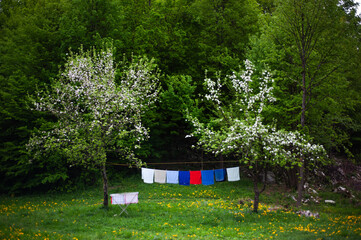 Fototapete bei efototapeten.de bestellen   