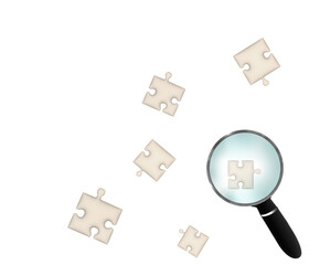 Mystery Puzzle Pieces