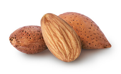 Isolated pile of almonds. Shelled and peeled almond nut isolated on white background