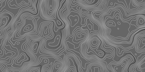 Fototapeta premium Vector grid map.Topographic contour map on white background.