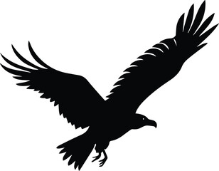 Fototapeta premium eagle in the sky