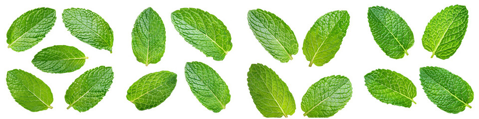 Obraz premium Fresh Mint Leaves Isolated on Black Background