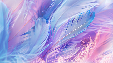Obraz premium Beautiful abstract display of colorful blue and light purple feathers on a white background, alongside a soft texture of white and pink feathers on a purple patterned background.