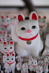 Maneki Neko (beckoning cat) at Gotokuji Temple in Setagaya, Tokyo