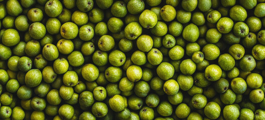 A Bountiful Collection of Fresh Green Apples Filling the Frame
