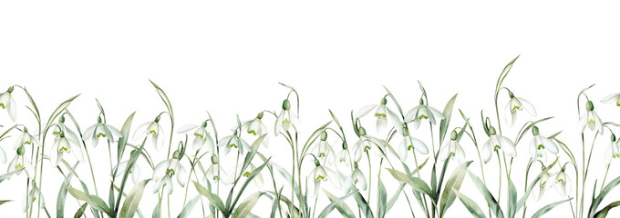 Obraz premium Watercolor Seamless Border with Snowdrops. Perfect for invitation and social media.