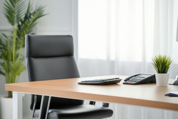 Clean office setup: wooden desk, black chair, phone, calculator, potted plant near window