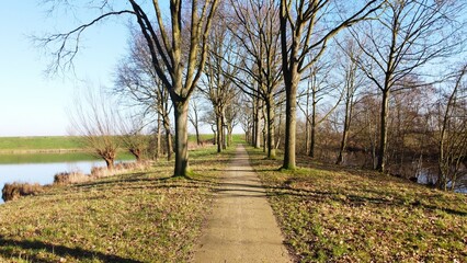 A park image in the Netherlands. An autumn season with bare trees and a walking path. A well-trodden path that leads to the water of a lake and a view of Willemstad with the mill of the village.