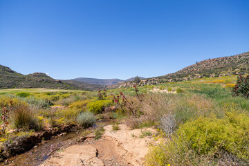 Landscape on the Rooibos Heritage Route north of Dooringbos in the Northern Cape of South Africa