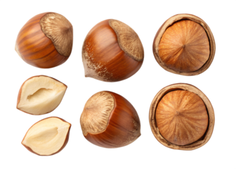 hazelnut isolated on transparent background png