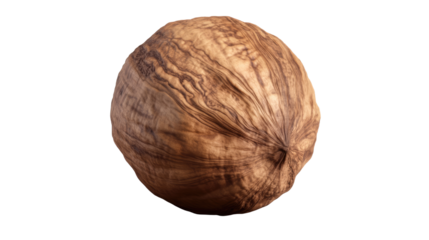 Macro Hazelnut: A detailed macro shot captures the intricate texture and natural beauty of a single hazelnut, highlighting its rich, earthy tones and the subtle patterns on its surface. 