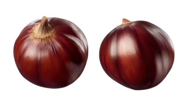 Chestnuts: A close-up capture showcases two glistening chestnuts, revealing their smooth, rich, brown shells. The image captures their inviting texture and the essence of autumn.