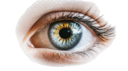 Captivating Gaze: A close-up shot of a mesmerizing eye, featuring striking details and vibrant colors, inviting the viewer into a world of depth and emotion.