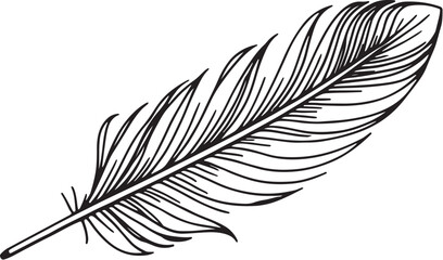 Obraz premium Delicate line art silhouette of a single feather with fine