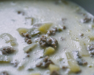 Frische Hackfleisch-Lauch-Suppe mit Kartoffelstücken – Perfekt für den Frühling