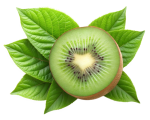 kiwi on a white isolated on transparent background png