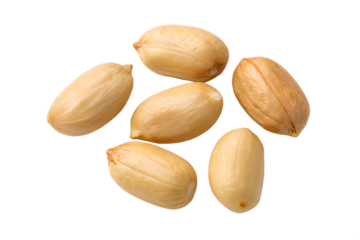 five peanuts without shell isolated on transparent background png