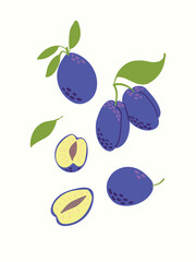 Abstract fruits in modern artistic styles. Great for posters, cards, covers, and trendy t-shirt designs.