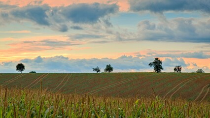 abendlicher Blick zum Horizont