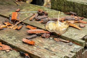 Decayed wood and autumn leaves on an old bench
