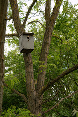 Wooden birdhouse hanging on a tree in a green forest
