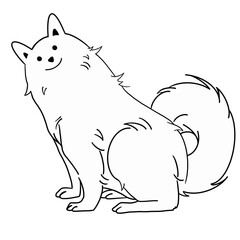 Samoyed 