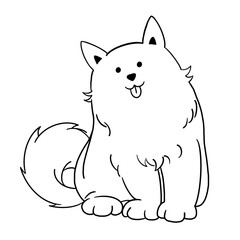 Samoyed 