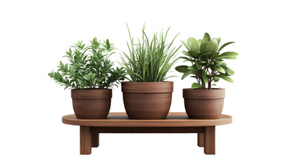 Fototapeta premium Trio of Potted Plants on Wooden Shelf: A harmonious composition of three potted plants, each showcasing distinct foliage, resting on a rustic wooden shelf, creating a serene and natural aesthetic.