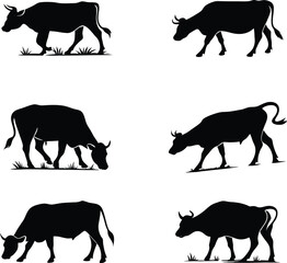 cow silhouettes isolated on white background. vector illustration. farm animal