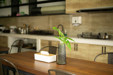 Decorative plants on the dining table with tissue box and a neatly arranged modern kitchen background