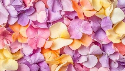Obraz premium Background petals in vibrant macro shot, natural macro shot + petals + background,