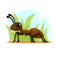 ant insect